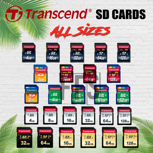 Transcend scheda 16 - scheda, sd